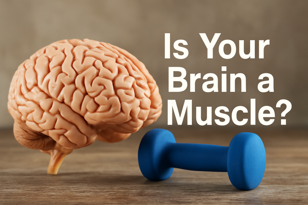 is your brain a muscle